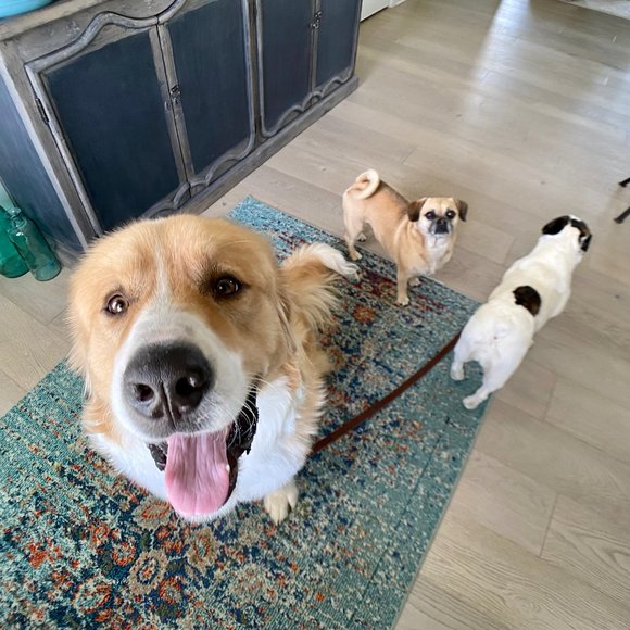 Happy Fall! - Picture 4 of 6